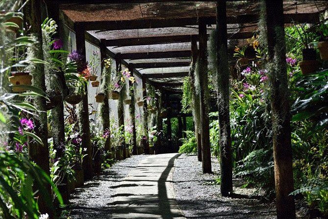 Half Day Tour from Nadi includes Local Markets, Orchid Gardens and Local Village - Shore Excursions - Practicalities and Value