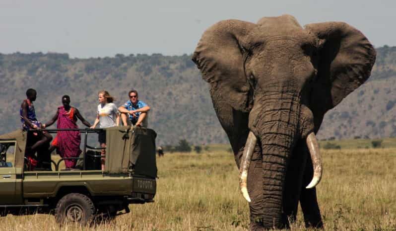 Half Day Tour Hluhluwe Imfolozi Game Reserve fr Richards Bay - An Honest Look at the Hluhluwe Imfolozi Experience