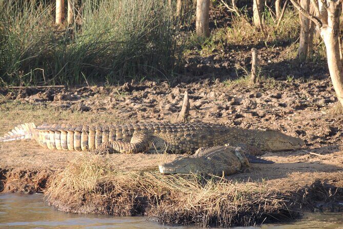 Half Day Tour in iSimangaliso Wetland Park - The Sum Up