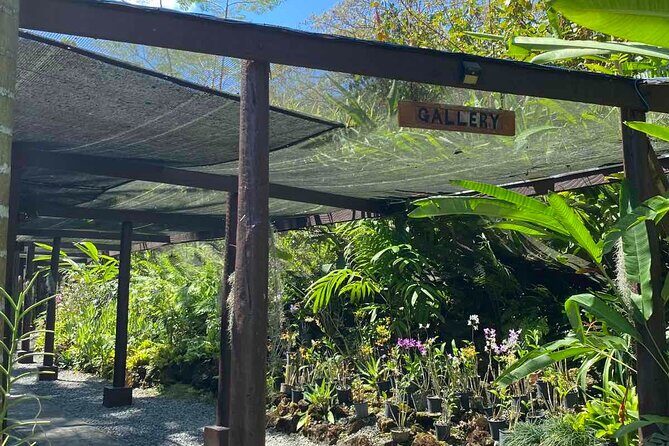 Half Day Tour in Nadi - Practical Details and Value