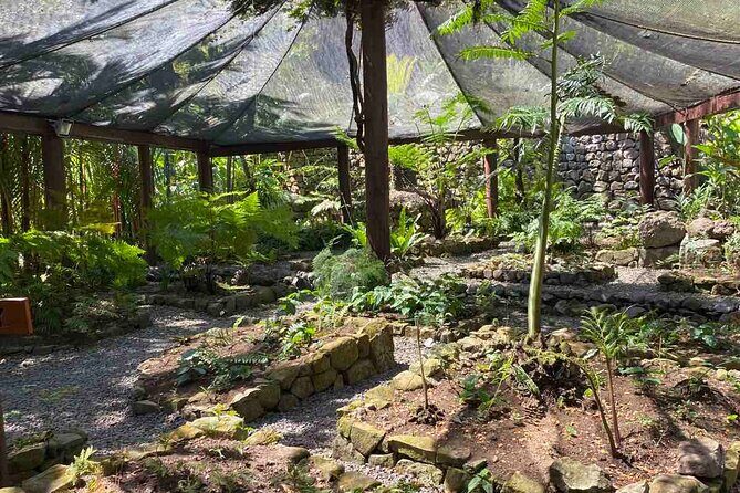 Half Day Tour in Nadi - FAQ