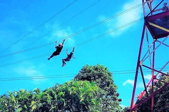 Half Day Tour in Rainforest Zipline Park with Transportation - Key Points