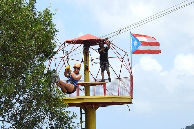Half Day Tour in Rainforest Zipline Park with Transportation - Introduction: What to Expect from this Rainforest Zipline Tour