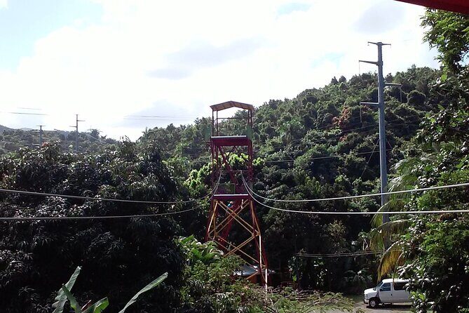 Half Day Tour in Rainforest Zipline Park with Transportation - The Sum Up: Who Will Love This Tour?