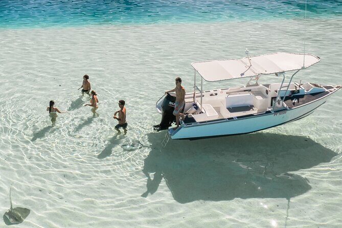 Half Day Tour lagoon discovery marine fauna flora small group - The Sum Up