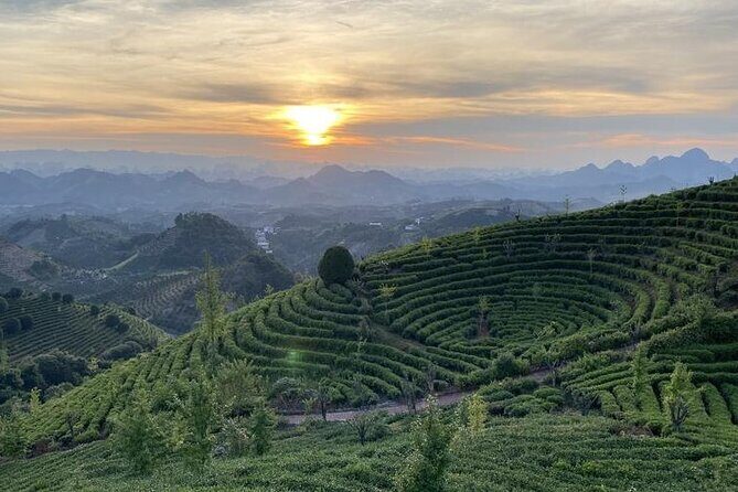 Half-day Tour: Largest Tea Plantation & Amazing Xianggong Hill - Practical Tips for Prospective Travelers