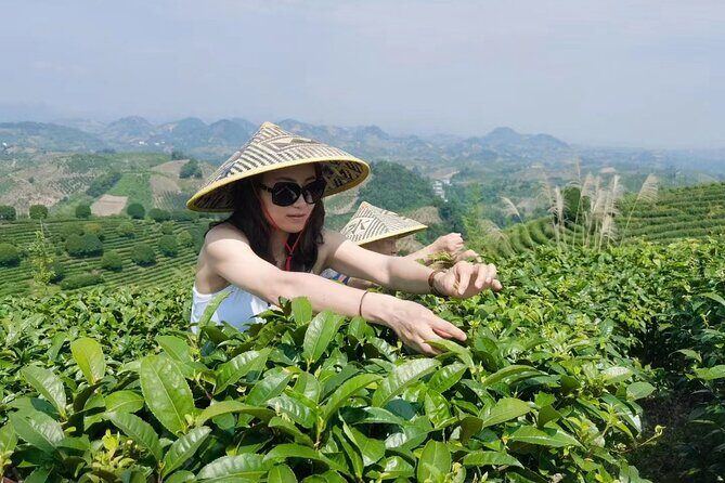 Half-day Tour: Largest Tea Plantation & Amazing Xianggong Hill - Frequently Asked Questions