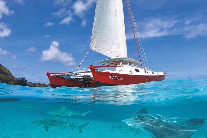 Half Day Tour : Moorea Snorkeling & Sailing on a Catamaran named Taboo - Discover Moorea’s Marine Magic with the Snorkeling & Sailing on the Catamaran Taboo