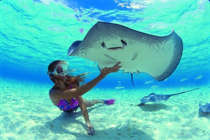 Half Day Tour : Moorea Snorkeling & Sailing on a Catamaran named Taboo - Final Thoughts: Is This Tour Worth It?
