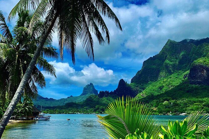Half-Day Tour of Moorea Island in a Small Group - Introduction: A Taste of Moorea in a Half-Day Adventure