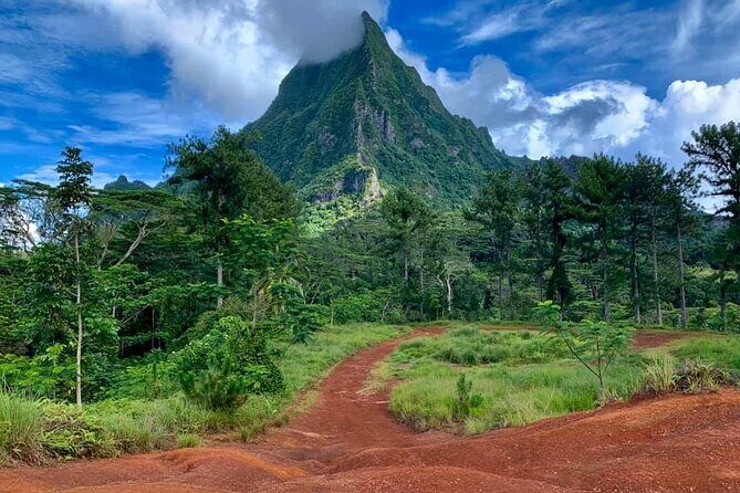 Half-Day Tour of Moorea Island in a Small Group - Value & Overall Experience