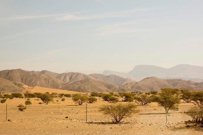 Half Day Tour of Salalah : Best of West - The Sum Up