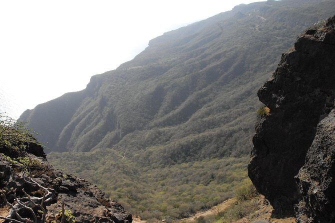 Half Day Tour of Salalah : Best of West - Frequently Asked Questions