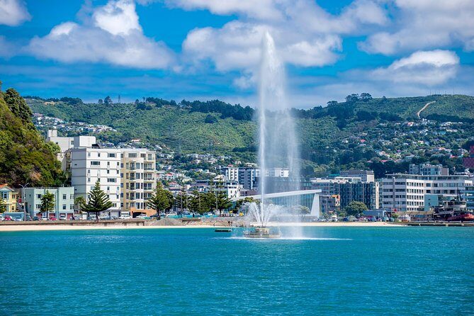 Half Day Tour of Wellington - An In-Depth Look at the Wellington Half-Day Tour