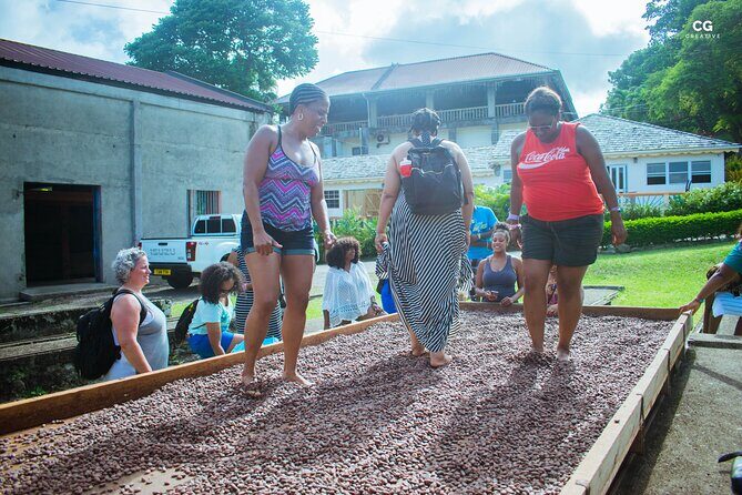 Half Day Tour - Popular Sites in Grenada, Forest Reserve,Spice Market,Waterfalls - Exploring Grenada in a Half Day: A Practical and Enjoyable Tour Experience