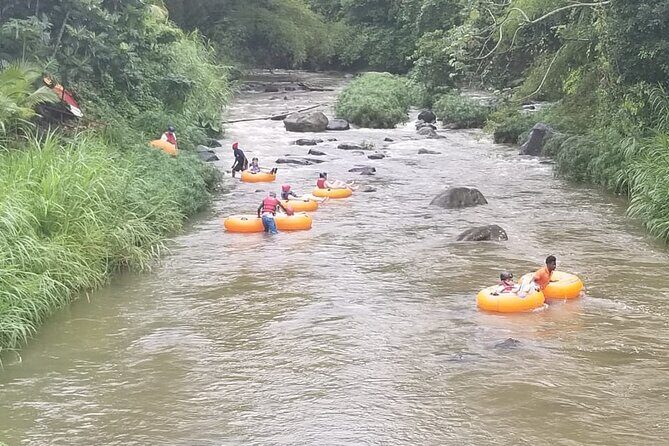 Half Day Tour - Popular Sites in Grenada, Forest Reserve,Spice Market,Waterfalls - Key Points
