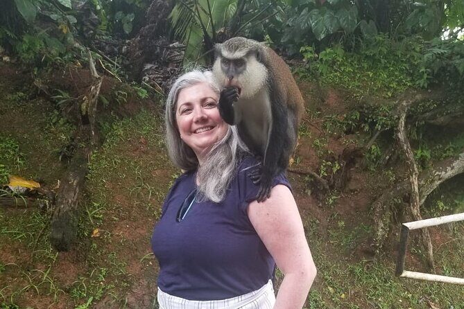 Half Day Tour - Popular Sites in Grenada, Forest Reserve,Spice Market,Waterfalls - Real Traveler Insights