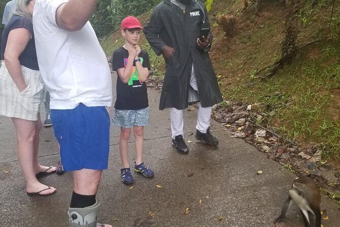 Half Day Tour - Popular Sites in Grenada, Forest Reserve,Spice Market,Waterfalls - Who Should Consider This Tour?