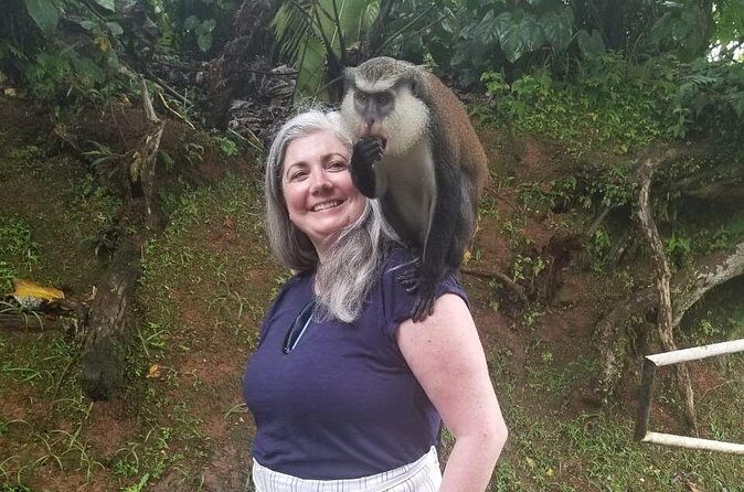 Half Day Tour - Popular Sites in Grenada, Forest Reserve,Spice Market,Waterfalls - FAQ
