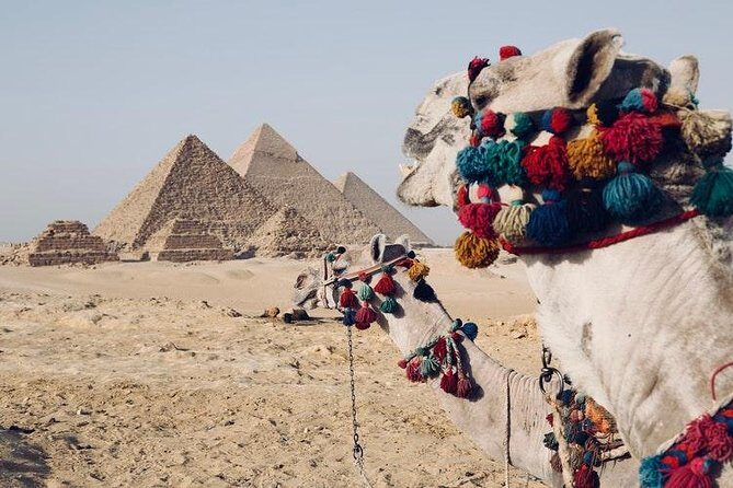 Half Day Tour Pyramids in Cairo - An In-Depth Look at the Tour Experience