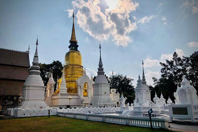 Half Day tour Suan Dok Temple, Umong temple & Doi Suthep Temple - Introduction