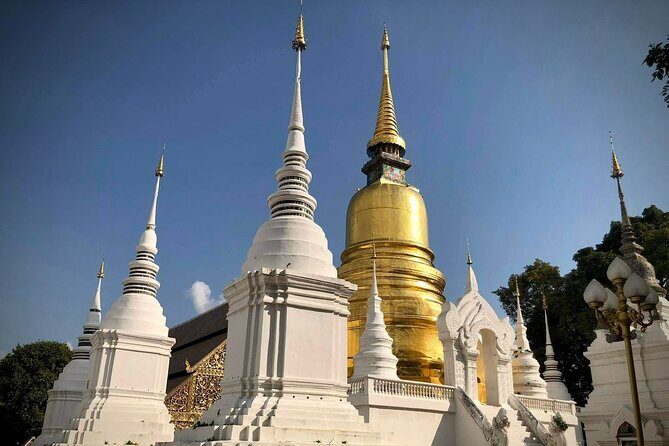 Half Day tour Suan Dok Temple, Umong temple & Doi Suthep Temple - Key Points