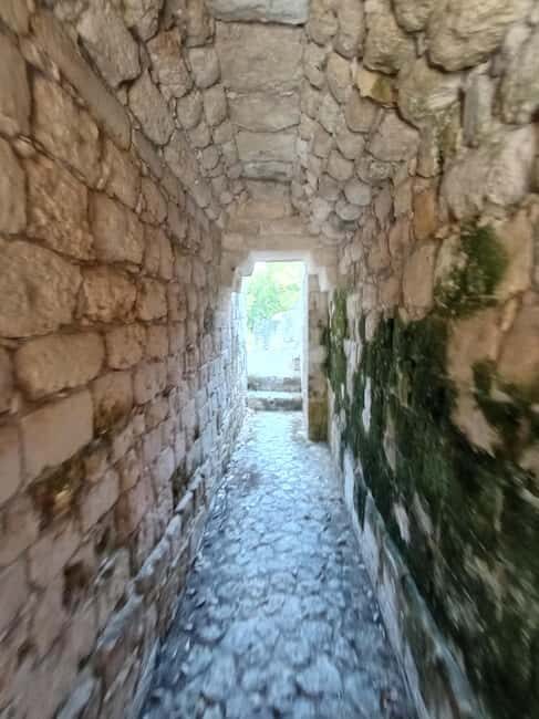 Half Day Tour to Becan Mayan Ruins from Bacalar or Chetumal - The Authenticity Advantage