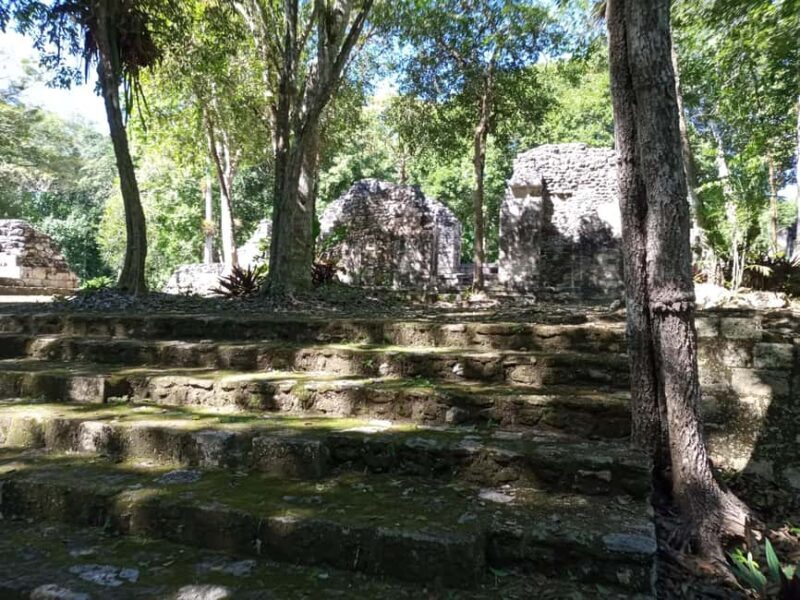 Half Day Tour to Becan Mayan Ruins from Bacalar or Chetumal - Practical Tips for a Great Visit