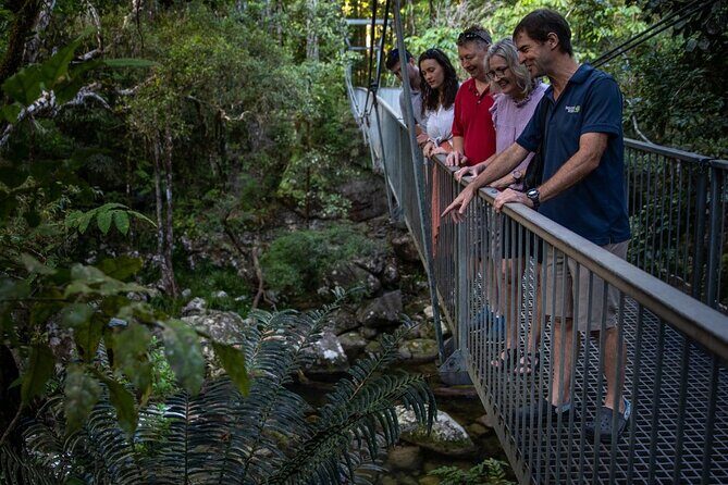 Half Day Tour to Daintree Rainforest and Mossman Gorge - Key Points