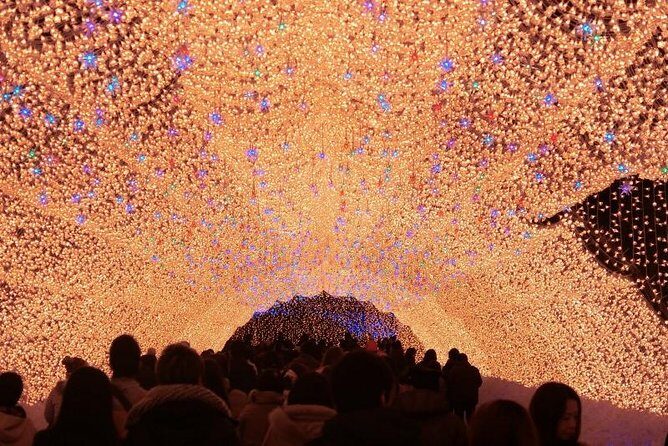 Half-day tour to enjoy Japan's largest illumination and outlet - Nagoya’s Largest Illumination and Outlet: A Practical Review