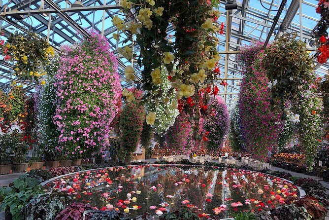 Half-day tour to enjoy Japan's largest illumination and outlet - The Sum Up