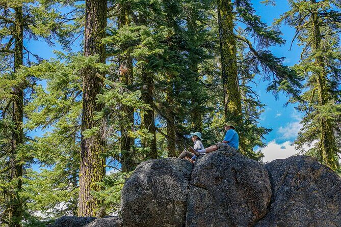 Half Day Tour to Faery Waterfalls, Castle Lake and Mount Shasta - Key Points