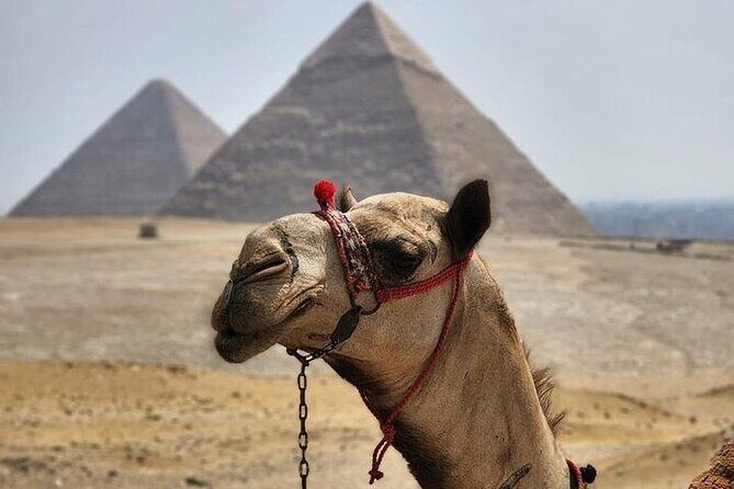 Half Day Tour To Giza Pyramids And Sphinx - The Experience from the Reviews: Authentic Insights