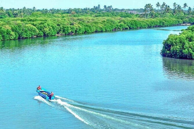 Half Day Tour to Muthurajawela, Lagoon, Dutch Canal and Mangroves - A Closer Look at the Tour Itinerary