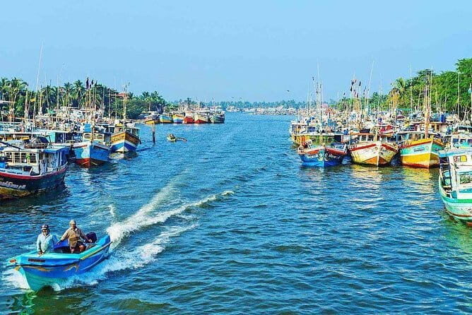 Half Day Tour to Muthurajawela, Lagoon, Dutch Canal and Mangroves - Why Choose This Tour?