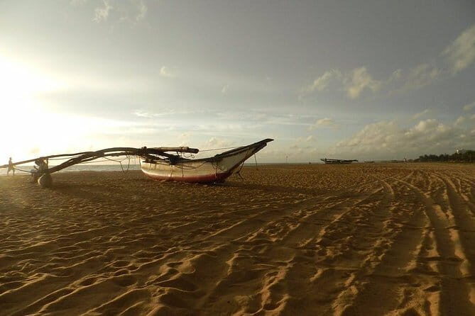 Half Day Tour to Muthurajawela, Lagoon, Dutch Canal and Mangroves - The Sum Up