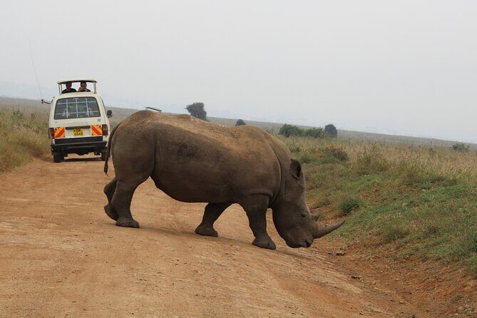 Half Day Tour To Nairobi National Park and Giraffe Center - Pricing and Value