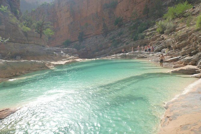 Half-Day Tour to Paradise Valley from Agadir - Reviews and Real Traveler Insights