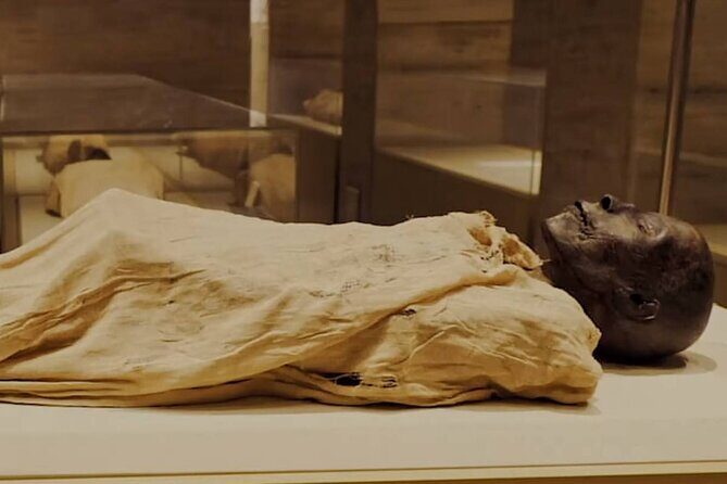 Half Day Tour To The National Museum of Egyptian Civilization - The Experience: Deep Dive into the Itinerary