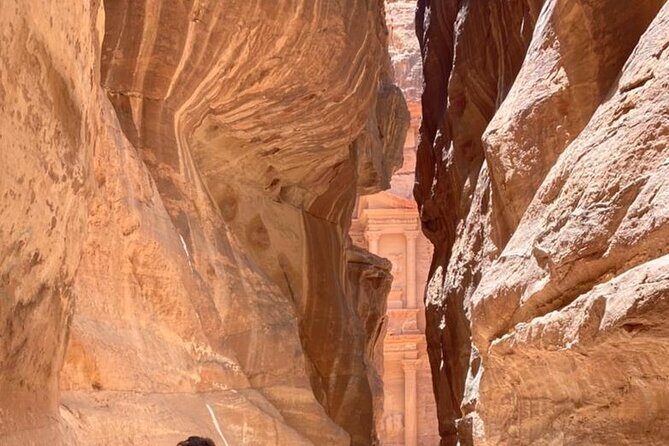 Half Day Tour to the Wonderful City of Petra - Transportation and Logistics