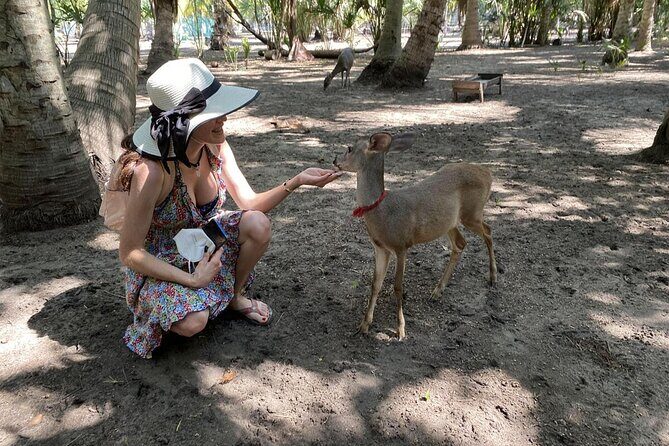 Half-Day Tour to Ventanilla, Mazunte, Zipolite and Puerto Angel - Key Points