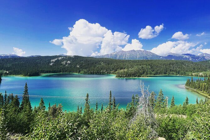 Half Day Tour to Yukon and Suspension Bridge - Who Should Consider This Tour?