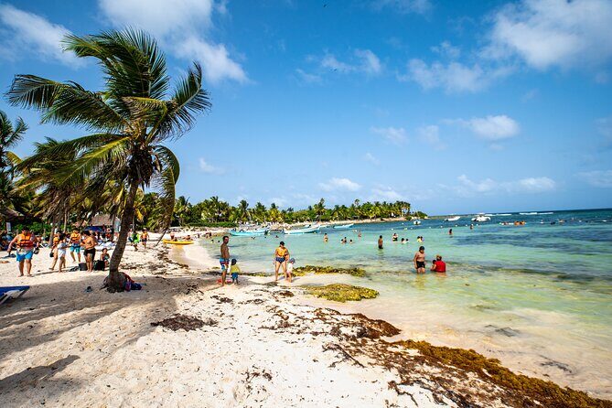 Half Day Tour: Turtles Encounter in Akumal Beach - Final Thoughts