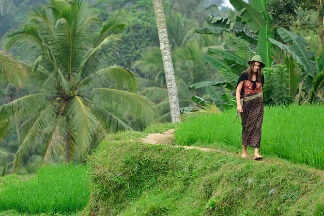 Half Day Tour Ubud Rice Terrace with Activities and Waterfall - An Introduction to the Tour Experience