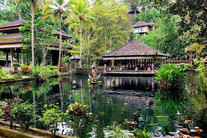 Half Day Tour Ubud Rice Terrace with Activities and Waterfall - The Sum Up: Who Will Love This Tour?