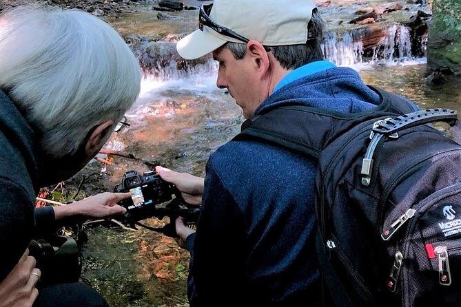 Half-Day Tour With Instruction in Vistas & Waterfall Photography - Exploring Asheville’s Blue Ridge through a Photography Tour