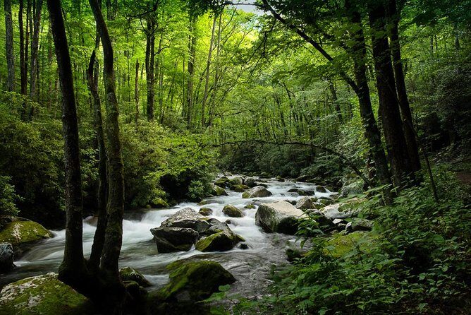 Half-Day Tour With Instruction in Vistas & Waterfall Photography - To sum it up