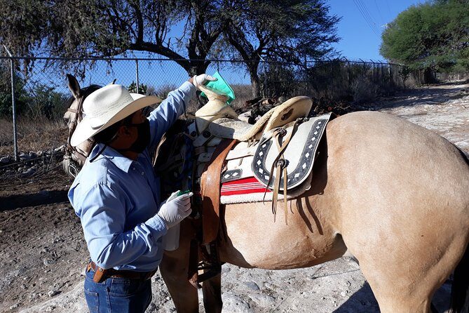 Half Day Trail Riding in San Miguel de Allende - Exploring the Trail Riding Experience