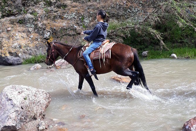 Half Day Trail Riding in San Miguel de Allende - FAQs