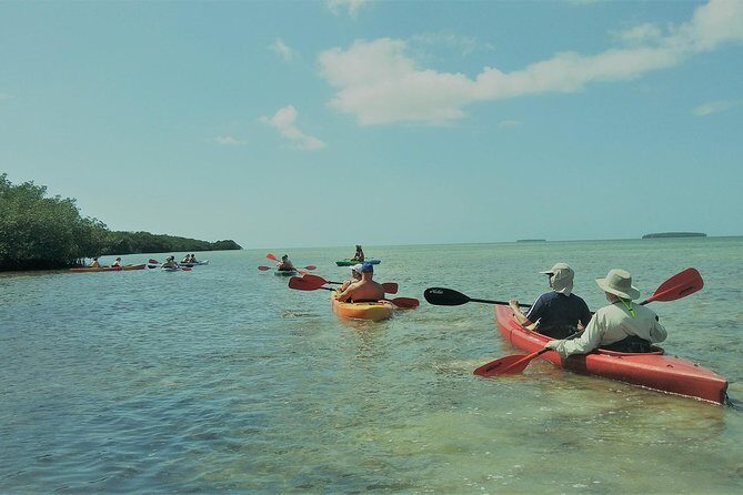 Half-Day Trip from Key West with Kayaking, Snorkeling & Sunset - Who Will Love This Tour?